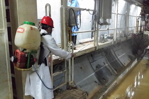 蒼蠅對人類有怎樣的危害?